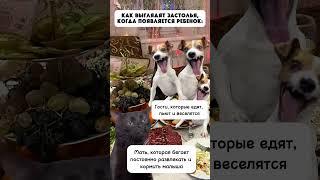 Жизненно? #декрет #декретныйюмор #декретныебудни #матьидитя #материнство #мамскийюмор