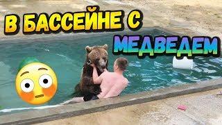 Человек и медведь Совместный заплыв️