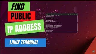 How to Get Public IP from Terminal on Linux Ubuntu