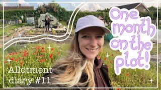One month allotment plot tour! | Allotment diary 11 