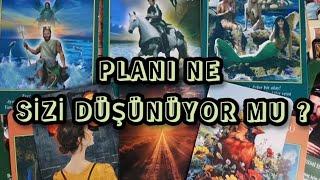 PLANI NE , SİZİ DÜŞÜNÜYOR MU ? #tarotfalı #aklımdakikişitarot #benidüşünüyormu #erildişil