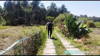 Stay in Neil Island - Emerald Gecko