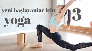 Yeni Başlayanlar İçin Yoga  Elvin ile Yogaya Başla #3