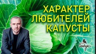 Как капуста помогает сберечь ресурсы. А вы любите квашеную капусту? Феноменальная психология еды