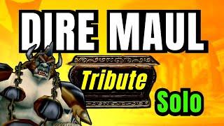 Dire Maul Tribute Hunter Solo Guide | SoD