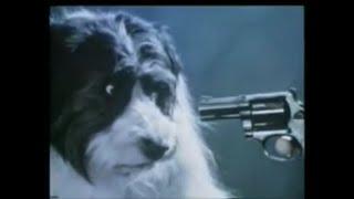 RSPCA Shoot a Dog