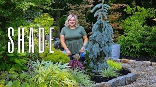 A Shade Garden with SO Many Gorgeous Plants! Planting & Shade Plant Combinations: Color & Texture