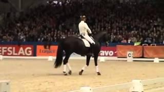 Edward Gal and KWPN Stallion Voice giving a clinic at HK Den Bosch 4 feb 2011