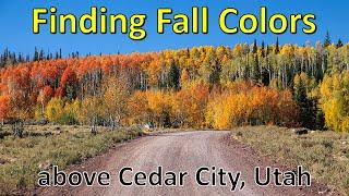 Fall Colors Above Cedar City Utah