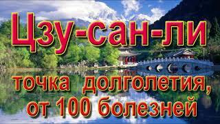 Главные точки для лечения - 1. Точка Цзу-сан-ли, точка долголетия от 100 болезней