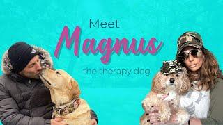 HERE IS WHY THERAPY DOGS ARE THE BEST | Interview Magnus The Therapy Dog