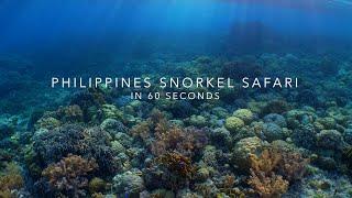 Philippines Snorkel Safari in 60 Seconds