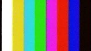 Regional Channel / RenTV (Региональное ТВ) - Test Pattern (ГЦП) (2005)