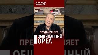 Мангал для двуглавого орда #невзоров