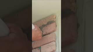 Chicago brick decor