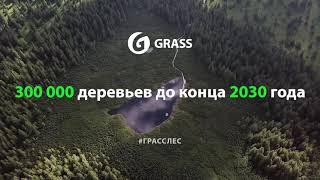 ВОССТАНОВИМ ЛЕСНЫЕ РЕСУРСЫ ВМЕСТЕ | 300000 деревьев до 2030 года| GRASS