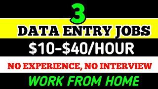 3 Best Platforms for Data Entry Jobs Paying $10-$40/Hour | Work From Home