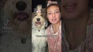 #dogsoftiktok