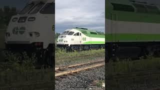 Shave And A Haircut Form Go Transit 666