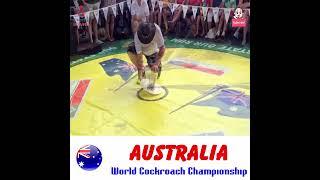 Australia World Cockroach Championship #shorts