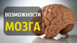 What Abilities of the Human BRAIN?