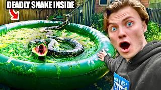 I Caught The Deadly Snake Attacking My Fish!