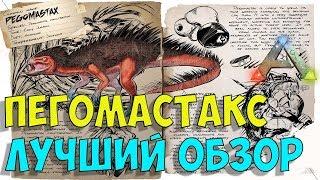 Пегомастакс (Pegomastax) в АРК. Лучший обзор: приручение, разведение и способности  в ark.