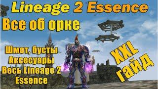 Большой гайд на Орка, Шмот, Бусты, Аксесуары, Весь Lineage 2 Essence и Тиры в л2 l2e руоф