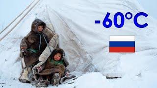 Life in Russian Tundra. How people survive in Far North of Russia. Life in Russia today