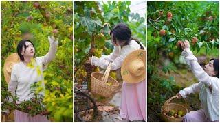 Beautiful Nature with Rural Life - Harvest fresh fruit and cook hot pot by the stream