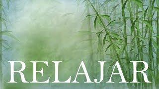 Música para DORMIR con Sonido de Lluvia y Naturaleza - Relajar la Mente