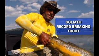 RECORD BREAKING TROUT