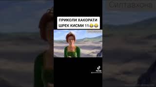 ШРЕК АКОРАТИ  КИСМИ  11