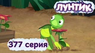 Лунтик и его друзья - 377 серия. Чья поляна?