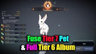 Black Desert Mobile Fuse Tier 7 Pet & Full Tier 6 Pet Album