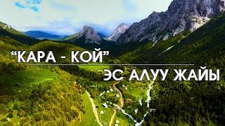 Кара-Кой Жаратылыш Паркы | Эс алуу жайы | Жайлоо | Ноокат | Ош | Kara-Koi Nature Park | Kyrgyzstan