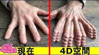 人類在4D空間會長甚麼樣子? ｜簡直是神人般的存在!