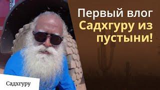 Садхгуру один в пустыне: как отдыхает Гуру?