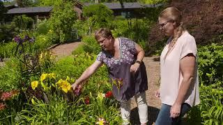 Home Tour of Daylilies