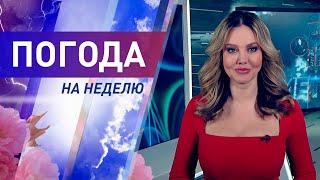 Погода на неделю 15 – 21 марта 2021. Прогноз погоды. Беларусь | Метеогид