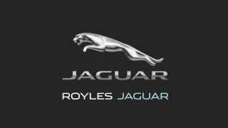 JAGUAR ROYLES