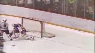 Unbelievable! Chicago Blackhawks Denis Savard '88