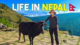 Local Village Life in the Himalayas Nepal 