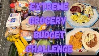 FEED A FAMILY OF 4 FOR $60 A WEEK // EXTREME GROCERY BUDGET CHALLENGE // #grocery #subscribe #vlog