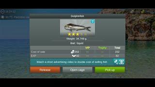 My Fishing World : Корифена большая (Ежедневное Задание, Пещера Пашабей) #myfishingworld