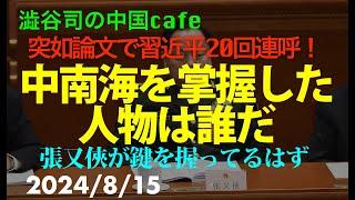 中南海を掌握した人物は誰だ　　#中国共産党　#習近平　#張又侠