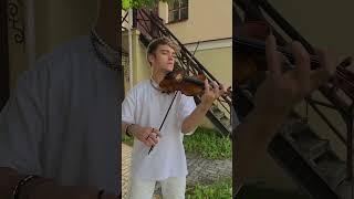 Merry go round of life - zotov - violin cover