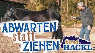 Abwarten statt ziehen | Bernd Hackl erklärt! 