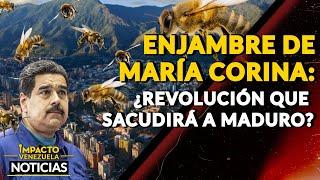 ENJAMBRE DE MARÍA CORINA: ¿revolución que sacudirá a Maduro?|  NOTICIAS VENEZUELA HOY 2024