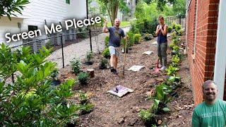 Screening and Foundation Plants - One Day Landscaping - P4